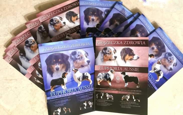 Książeczki zdrowia psów z hodowli Euphoria Aussie