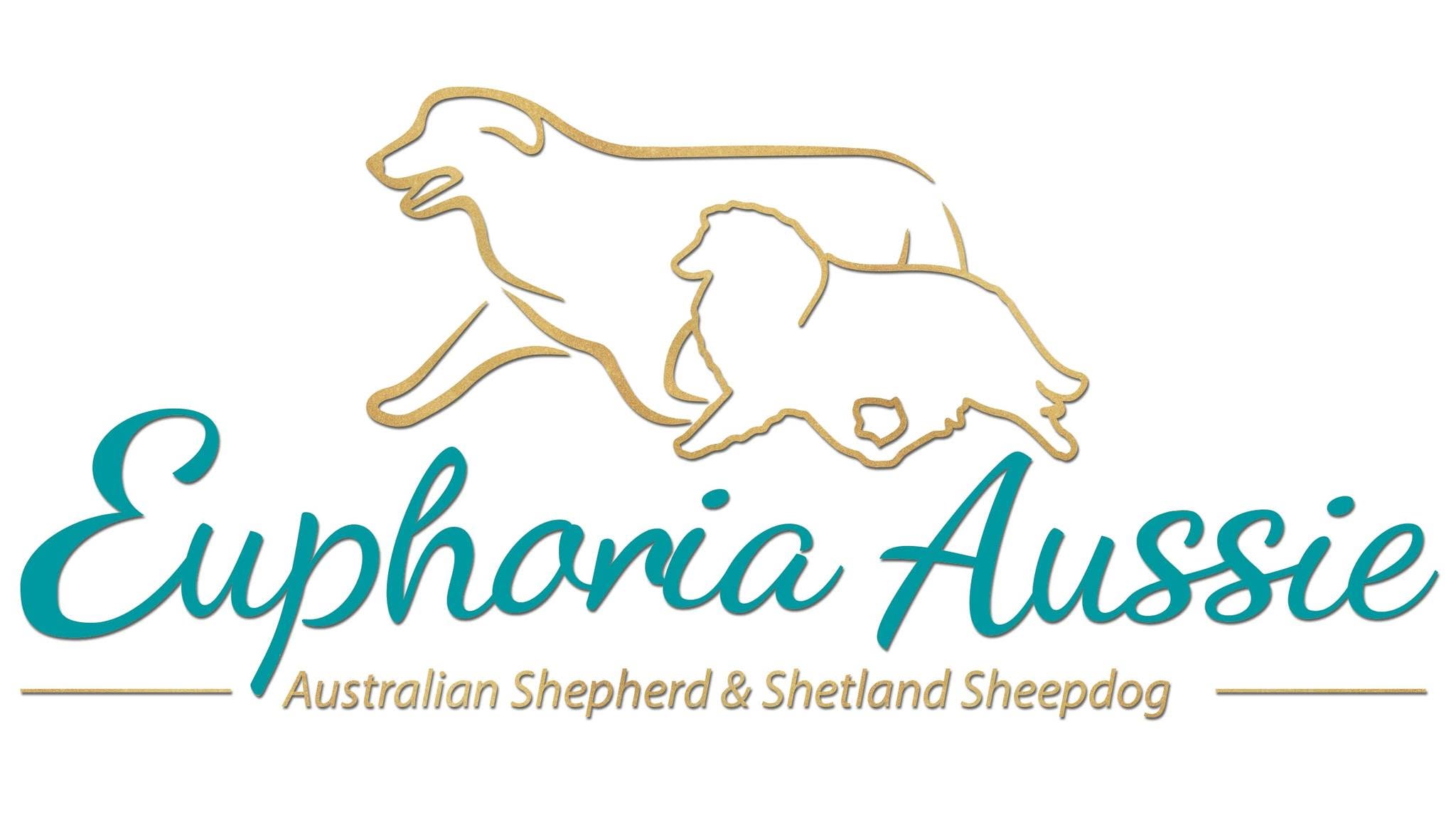 Euphoria Aussie — hodowla owczarków australijskich i owczarków szetlandzkich